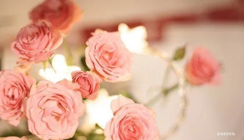 人生励志语录经典句子文案50字