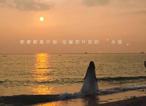 短句感情扎心话语