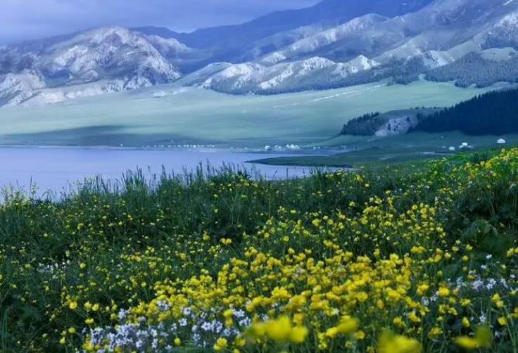 感受大自然的优美句子文案