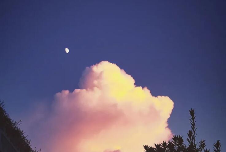 超仙的句子文案