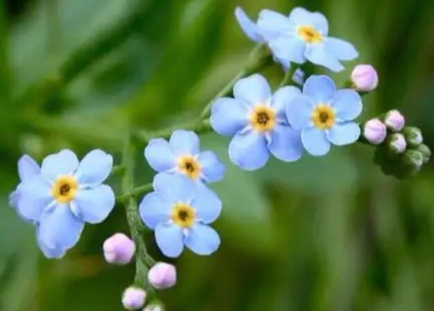 初次认识朋友聚会讲话