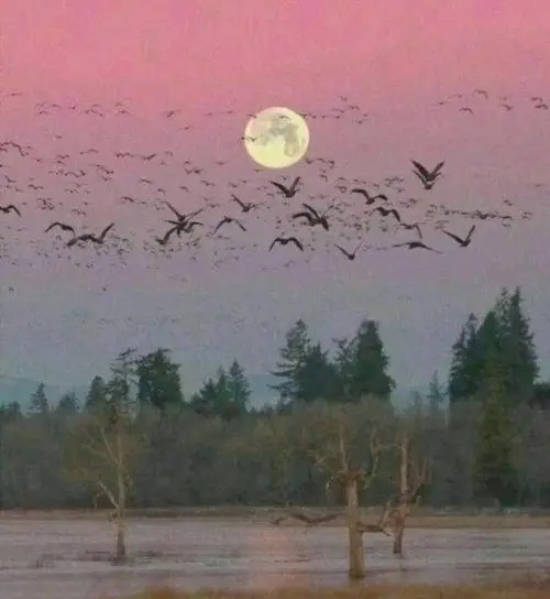 山海的语录文案