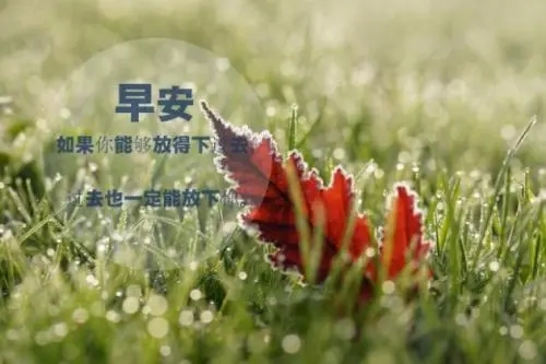 下雨天正能量早安说说文案