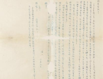 细节描写摘抄加批注