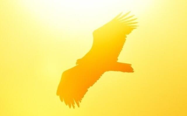 对小学生的寄语与希望