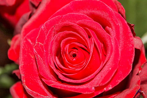 七夕简短情话文案