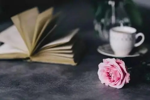 夸女子有才有实力的句子文案