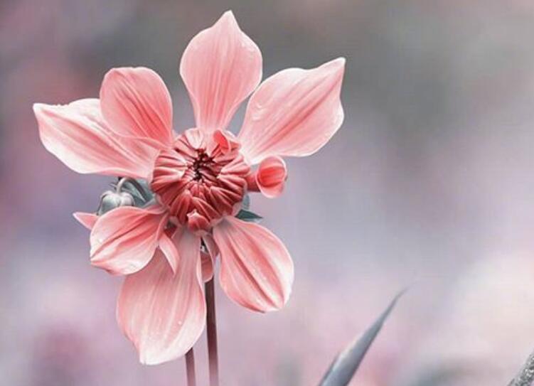 改变自己脾气正能量的句子文案