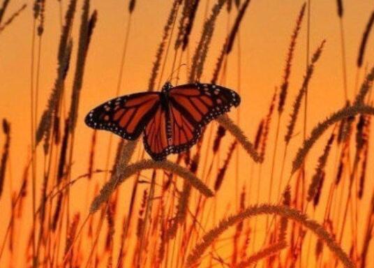 交人交心的朋友圈说说文案