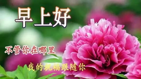 可爱的早安问候语