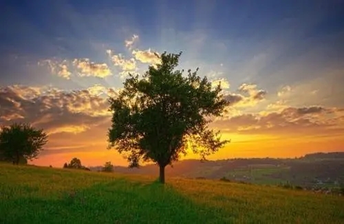 美好一天的心情说说文案