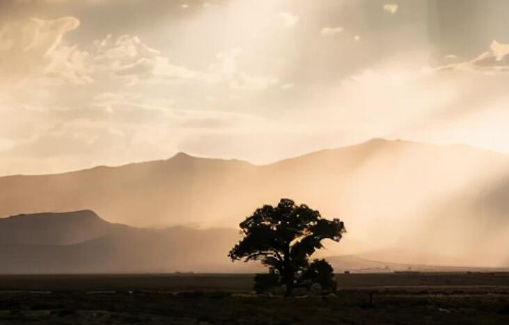 内心压抑的诗句文案