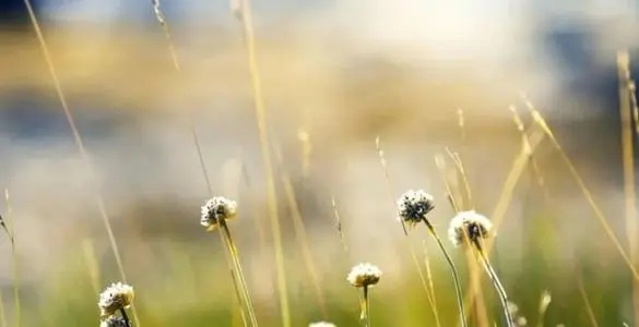 销售感悟正能量语录文案