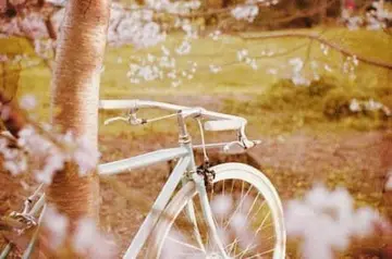 多赚钱的祝福语