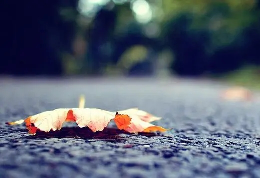 佛法爱情语录文案意