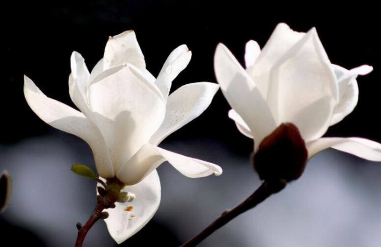 悼念亡父的经典名句文案