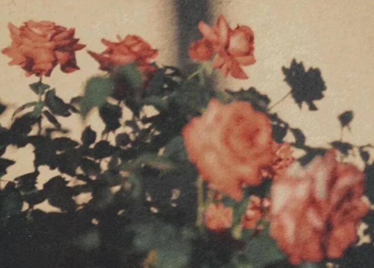 关于挑拨离间的文案