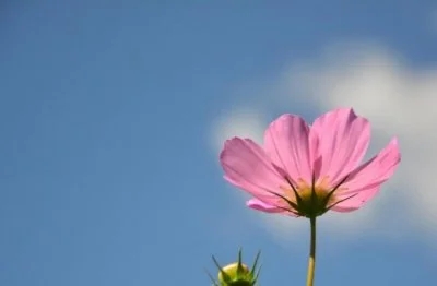 形容三月的天气的短句