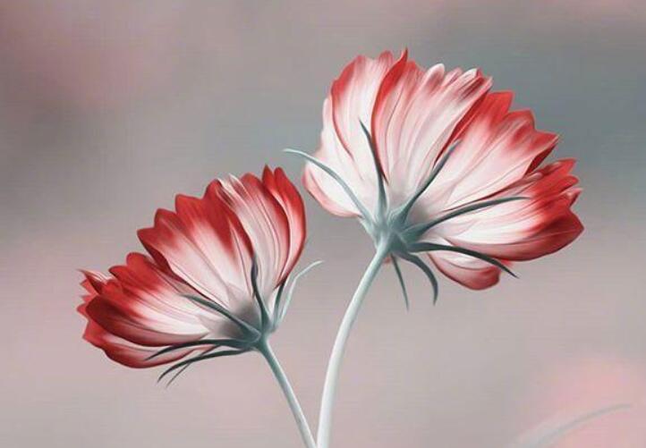 经典人生短句10个字