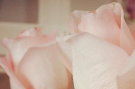 女友心情低落安慰的话