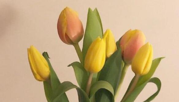 早安说说文案朋友圈简短