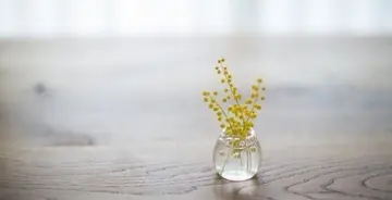 优美句子文案一千句十字