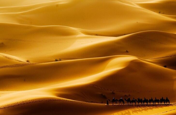 公司团队正能量句子文案励志短句子文案