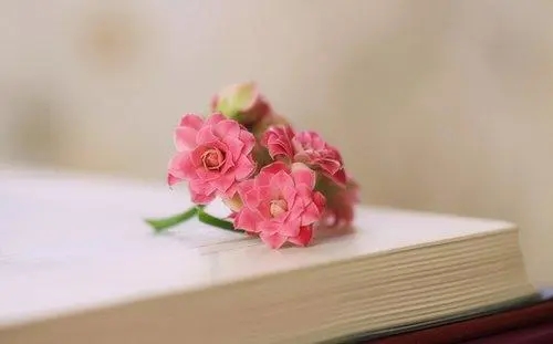 富有文采哲理的句子文案