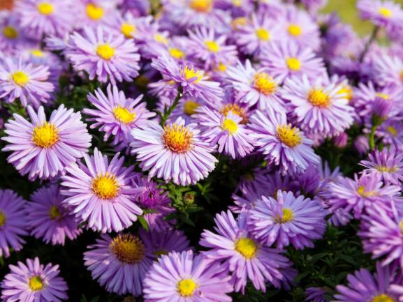 暖心励志语录文案