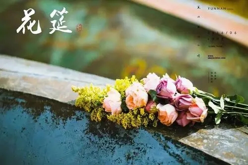 关于浪完回家的句子文案