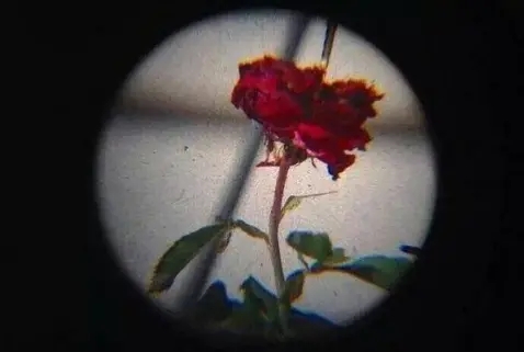 抖音个性签名女伤感