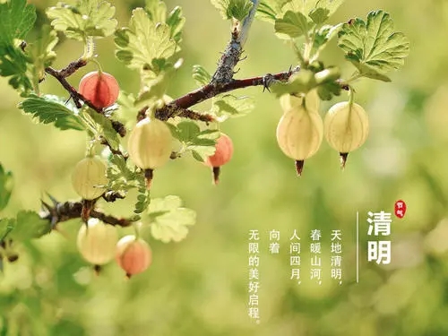 清明节的悲伤文案