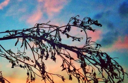 人在吃亏中成长的句子文案