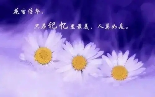 中午朋友圈说说的好句子文案