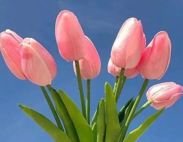 励志的个性签名适合女