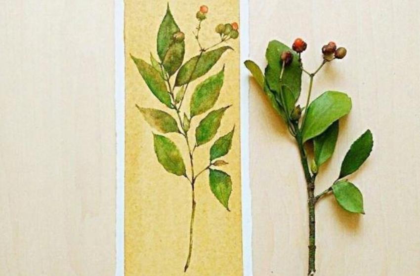 人生感悟的句子文案伤感佛教