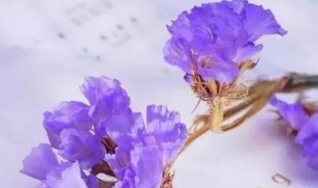 相遇又离别伤感的句子文案