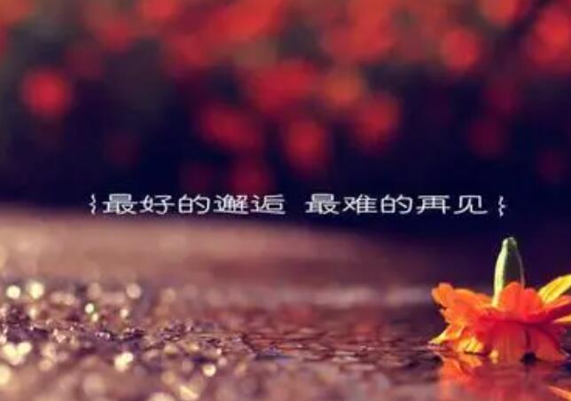 爱情名言名句文案大全人生感悟