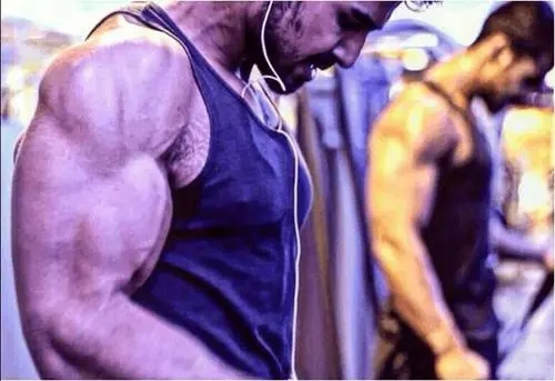 描写肌肉线条的句子文案