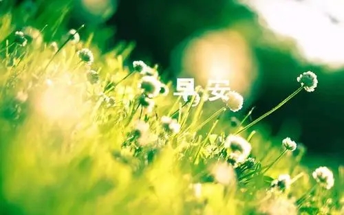 最浪漫的早安问候语一句话