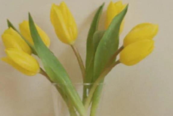 含有诗意的心情说说文案