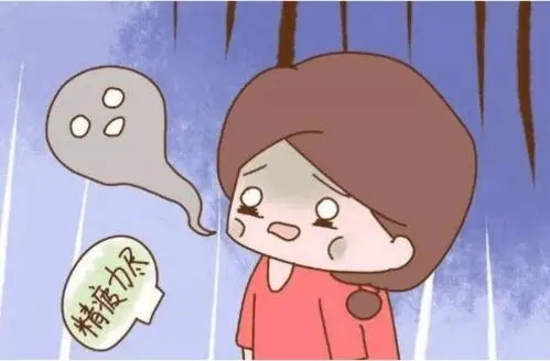 生二胎的说说经典语录文案