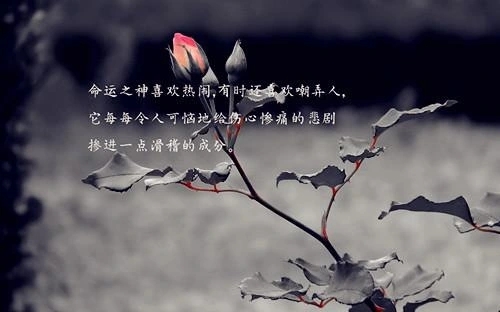 每天励志小短句