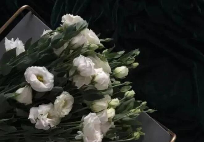 表达心情复杂的句子文案