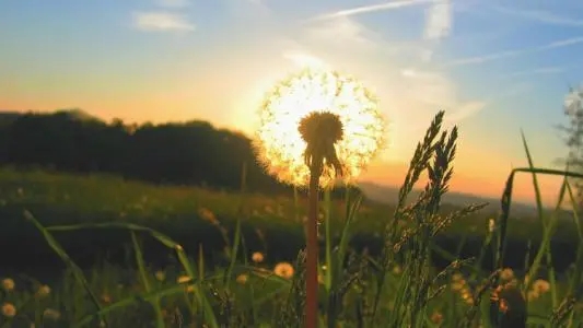 一句话签名致自己简短