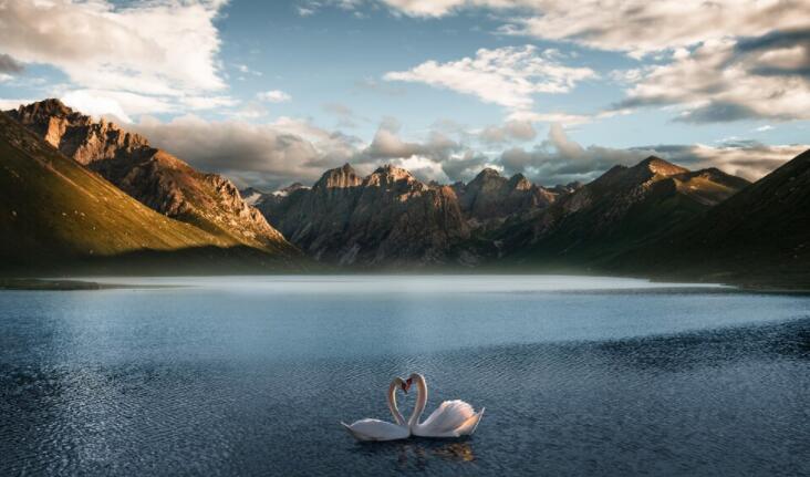 社会说说文案现实