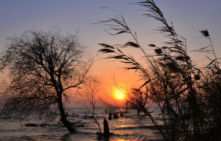 得到客户的肯定的句子文案