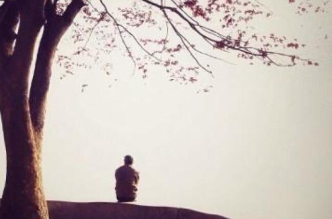 关于生活的经典语录文案短句