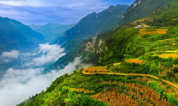 不忘祖先不忘根的语句文案