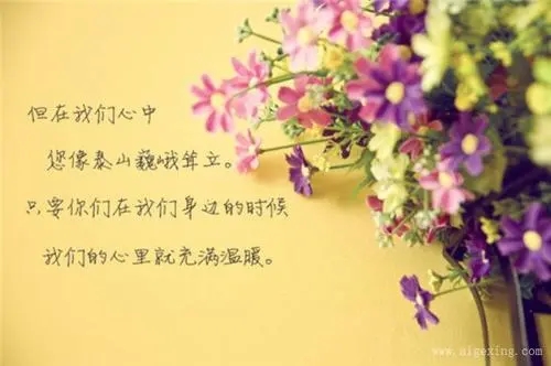 优美开头结尾摘抄大全